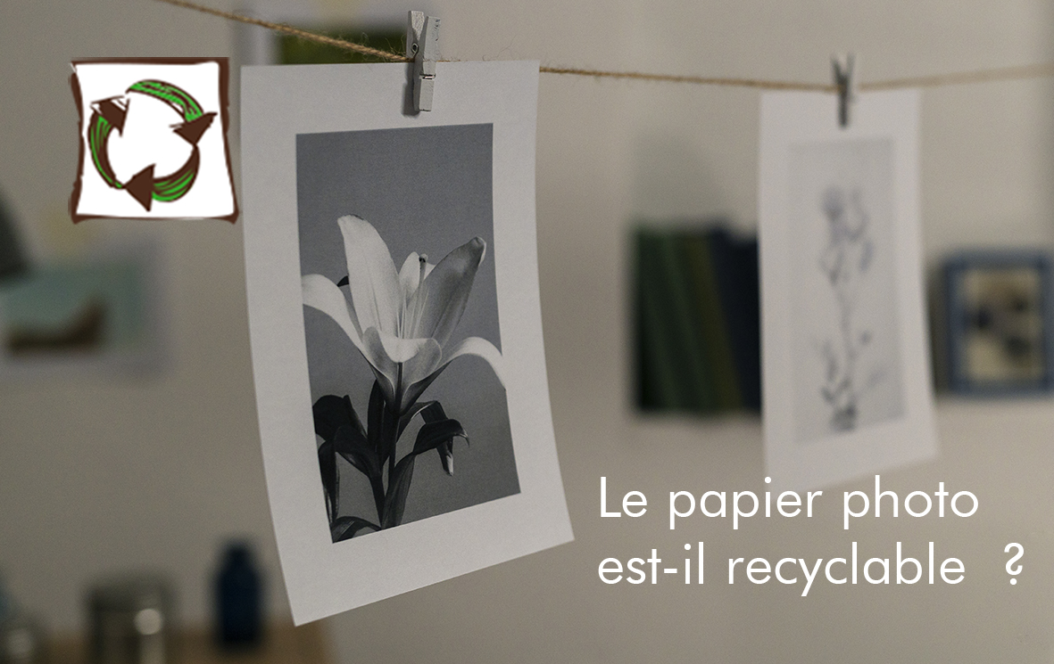 Lire la suite à propos de l’article R comme Recycler : le papier photo est-il recyclable ?