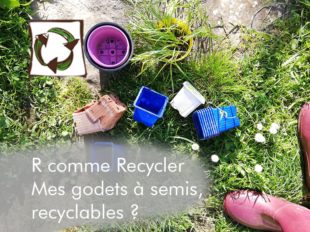 Lire la suite à propos de l’article R comme Recycler : la question des lecteurs « les godets en plastique pour les semis sont-ils recyclables ? »