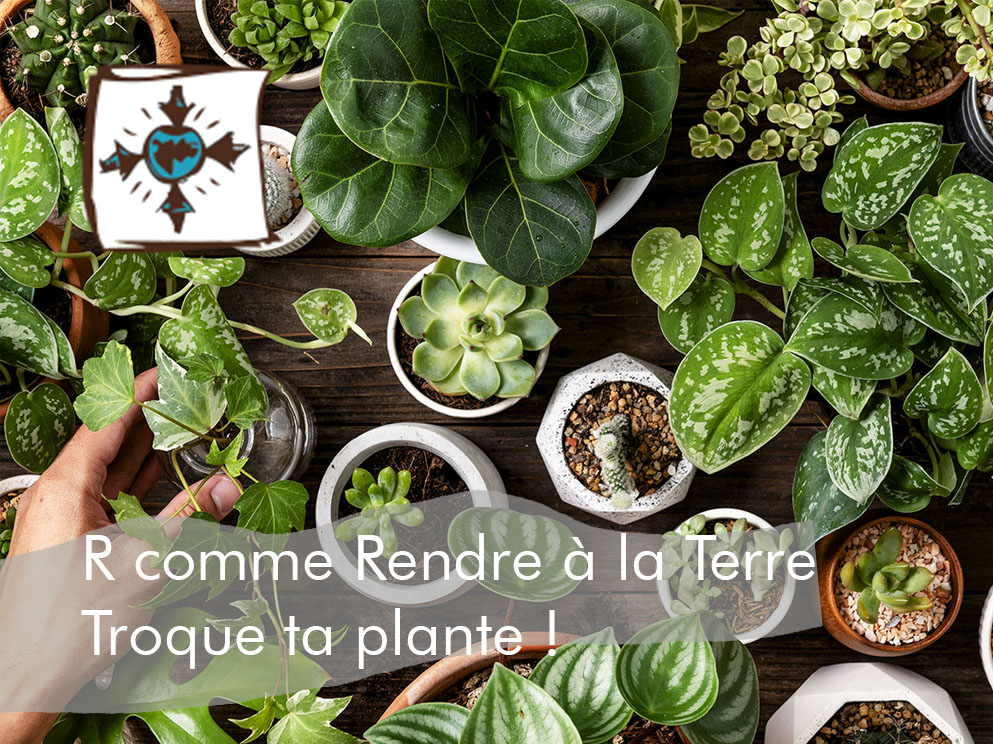 You are currently viewing R comme Rendre à la Terre : Troque ta plante !