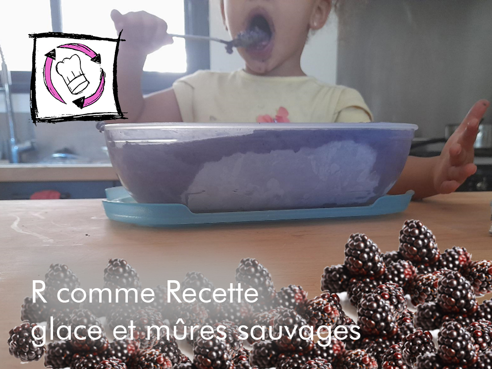 You are currently viewing R comme Recette : Crème glacée aux mûres sauvages