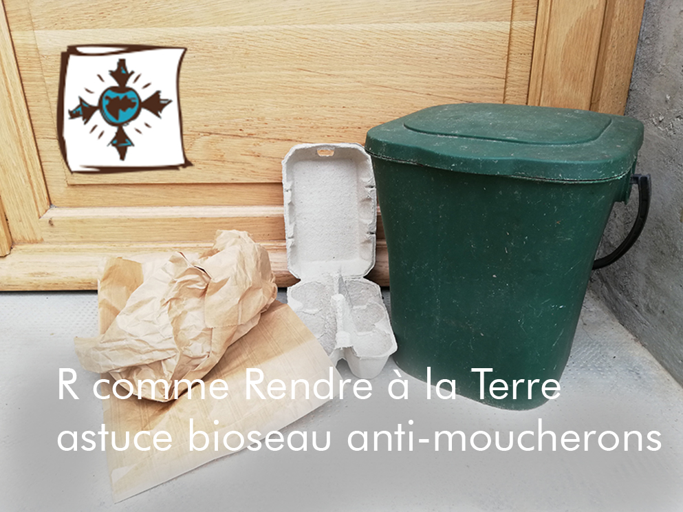 Lire la suite à propos de l’article R comme Rendre à la Terre : mon astuce bioseau anti-moucherons